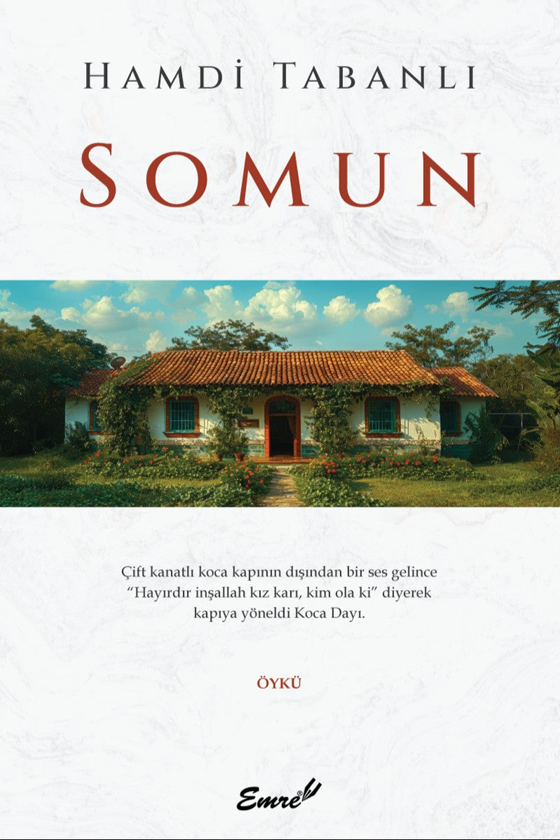 Somun - Hamdi Tabanlı kitap kapağı