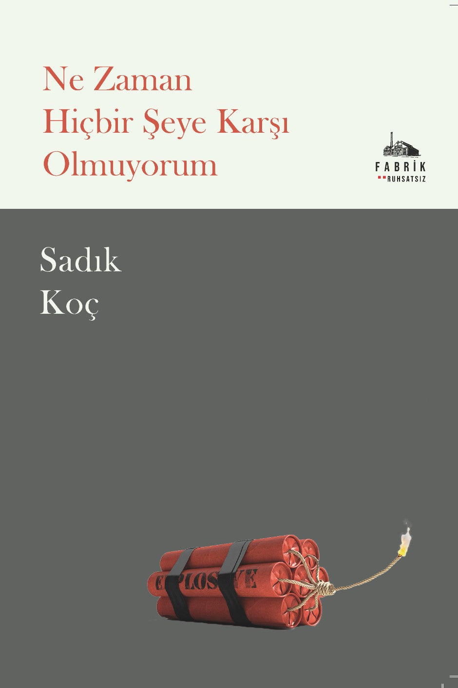 Ne Zaman Hiçbir Şeye Karşı Olmuyorum - Sadık Koç kitap kapağı
