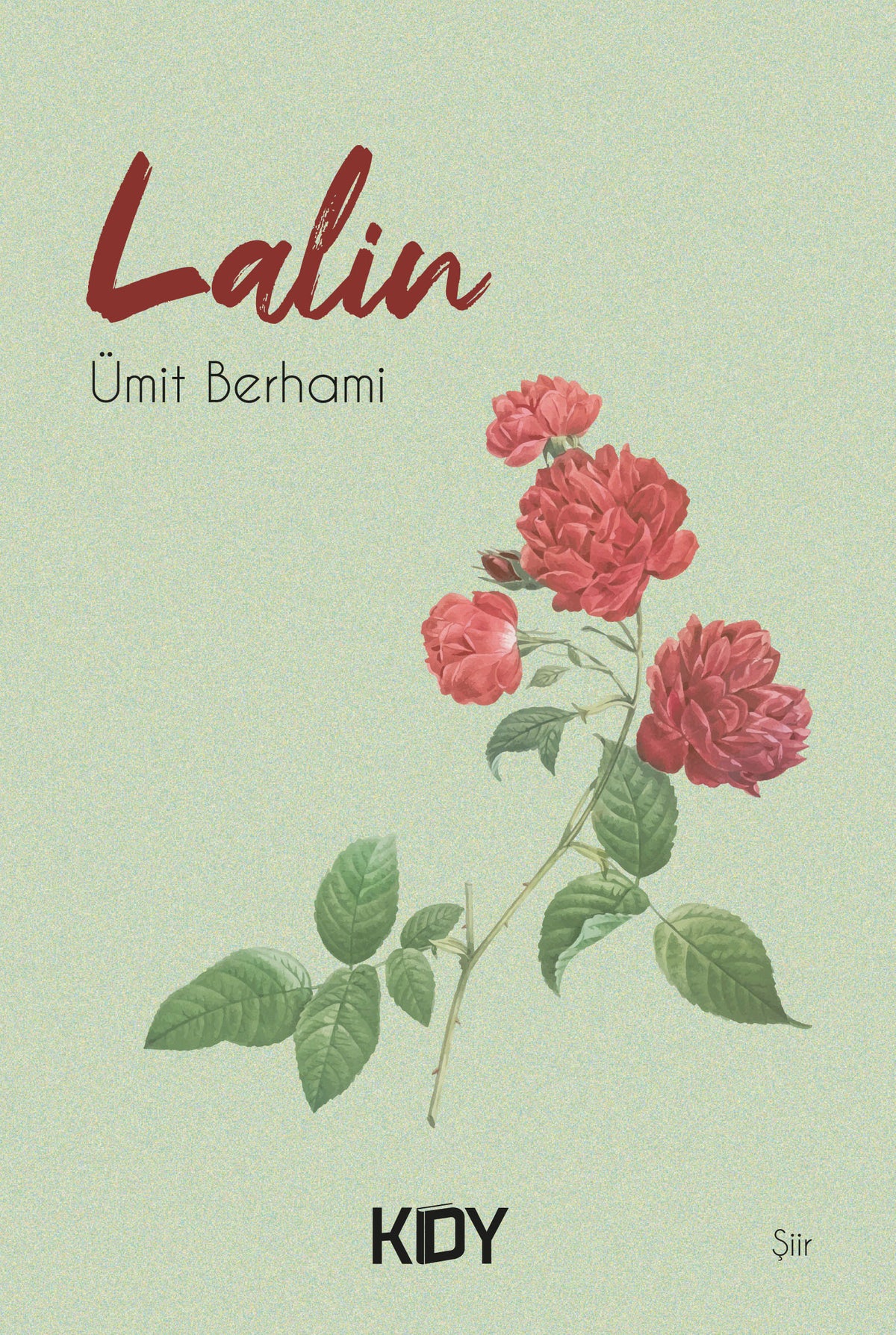 Lalin - Ümit Berhami kitap kapağı