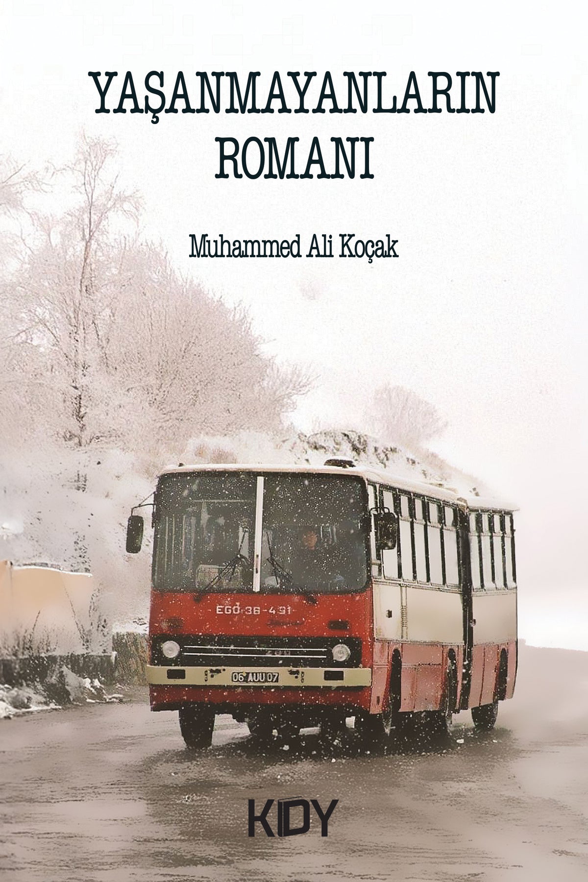 Yaşanmayanların Romanı - Muhammed Ali Koçak kitap kapağı