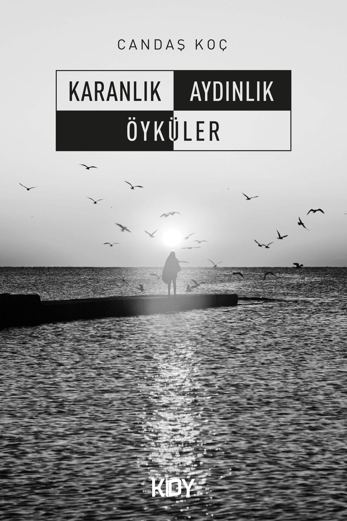 Karanlık Aydınlık Öyküler - Candaş Koç kitap kapağı