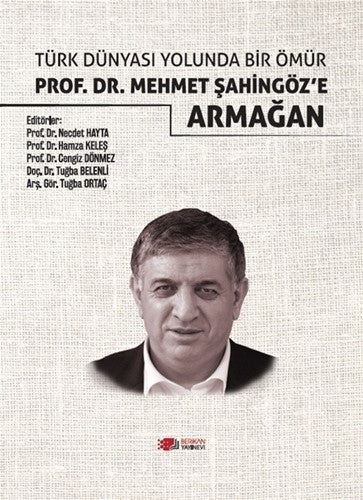 Türk Dünyası Yolunda Bir Ömür Prof. Dr. Mehmet Şahingöz'e Armağan - Kolektif kitap kapağı