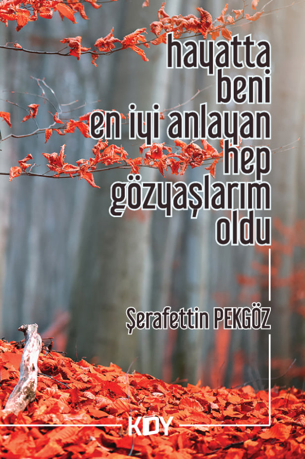Hayatta Beni En İyi Anlayan Hep Gözyaşlarım Oldu - Şerafettin Pekgöz kitap kapağı