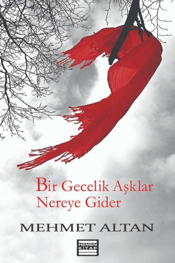 Bir Gecelik Aşklar Nereye Gider - Prof. Dr. Mehmet Altan kitap kapağı