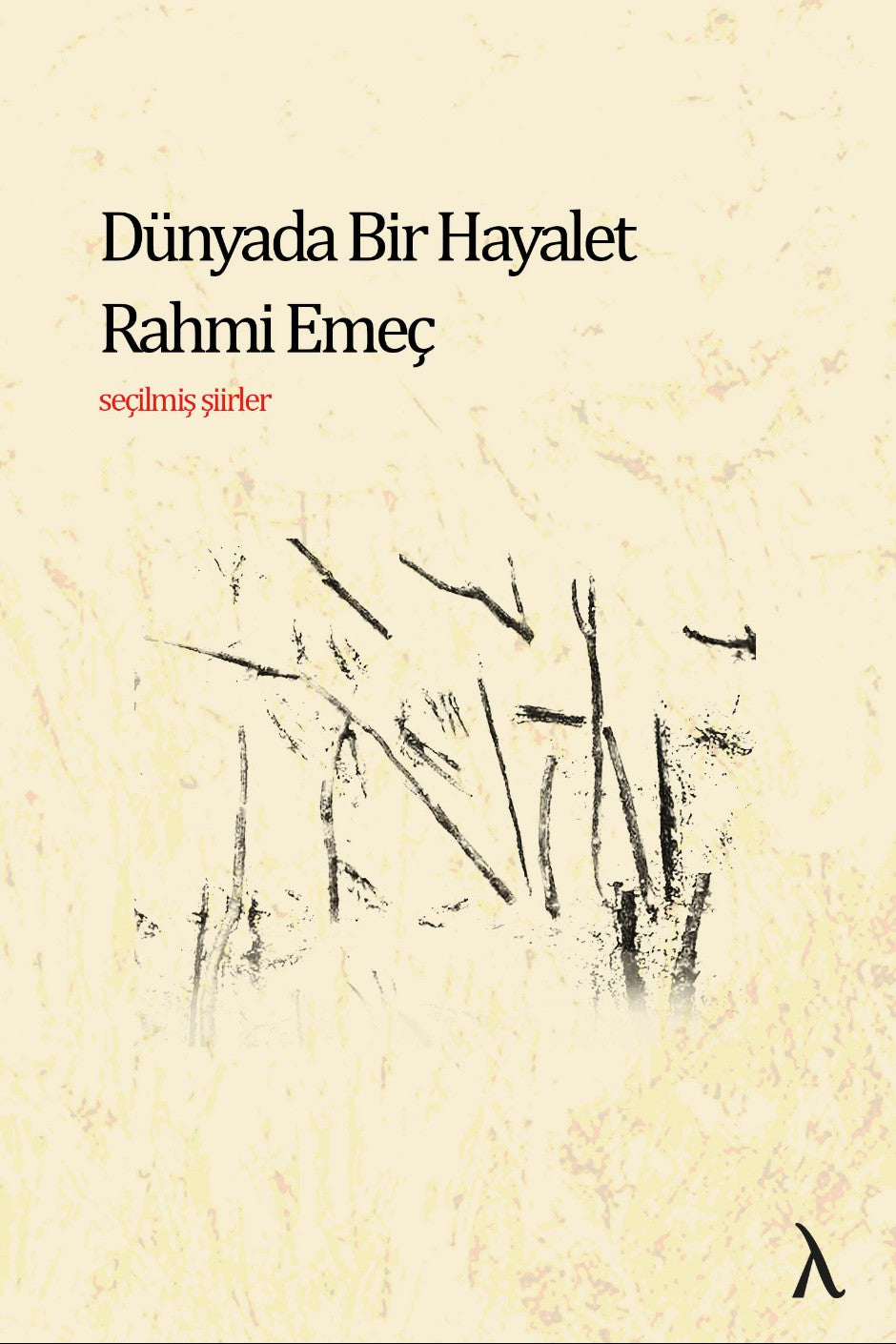 Dünyada Bir Hayalet Seçilmiş Şiirler - Rahmi Emeç kitap kapağı
