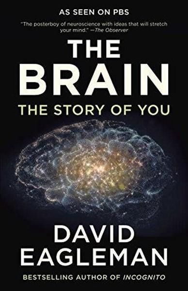 The Brain: The Story of You | Vintage (İnce Kapak) - Resim 1
