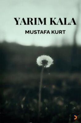 Cinius Yayınevi Yarım Kala & Mustafa Kurt - Mustafa Kurt kitap kapağı