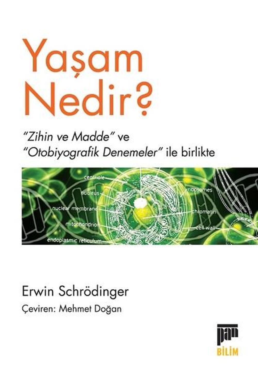 Yaşam Nedir? | Pan Yayıncılık