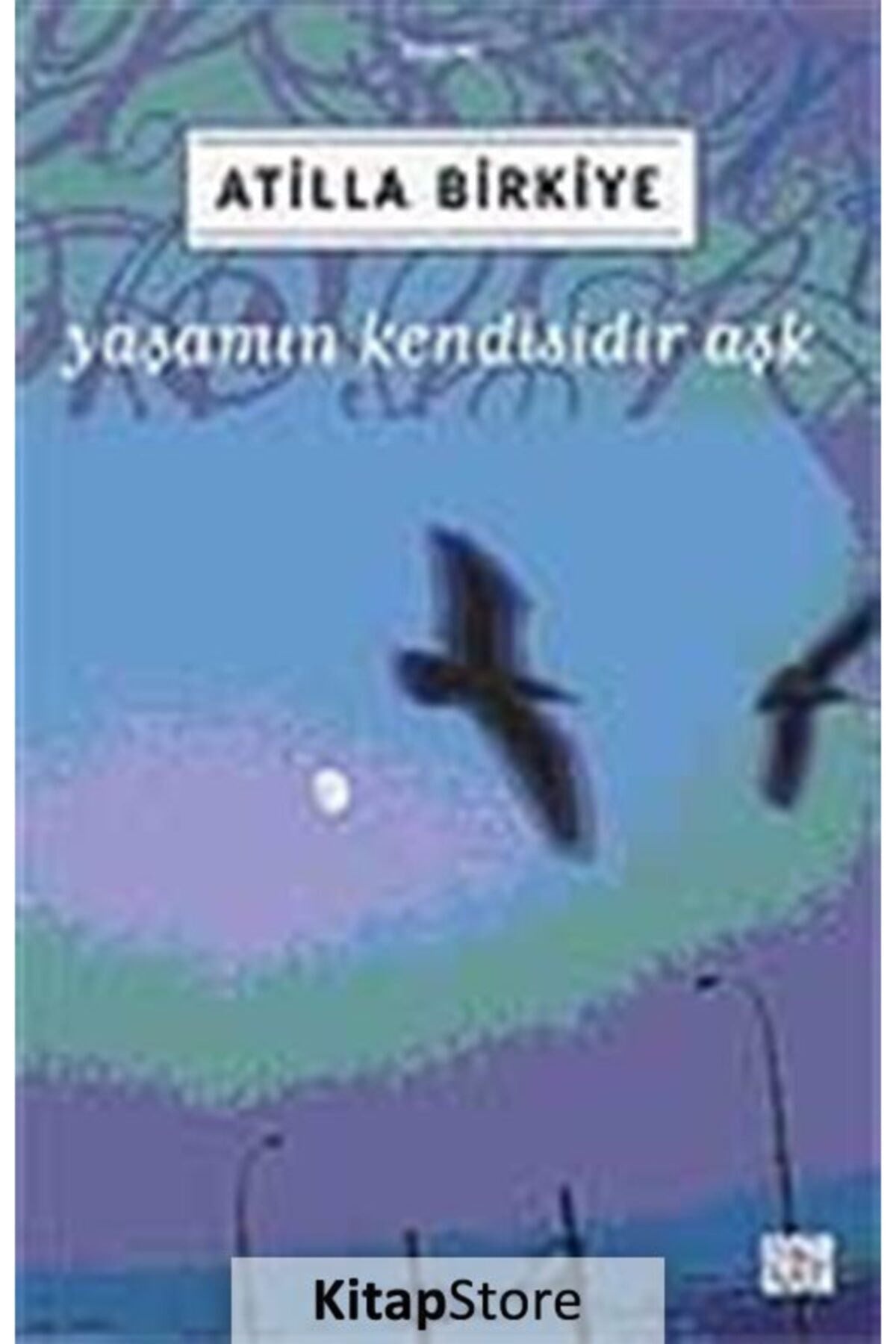 Yaşamın Kendisidir Aşk - Atilla Birkiye kitap kapağı