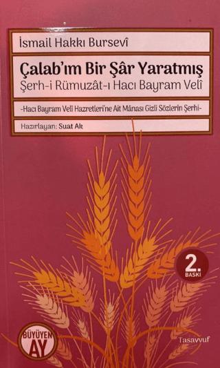 Şerh-i Rümuzat-ı Hacı Bayram Veli - Çalab’ım Bir Şar Yaratmış