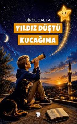 Yıldız Düştü Kucağıma - Birol Çalta kitap kapağı