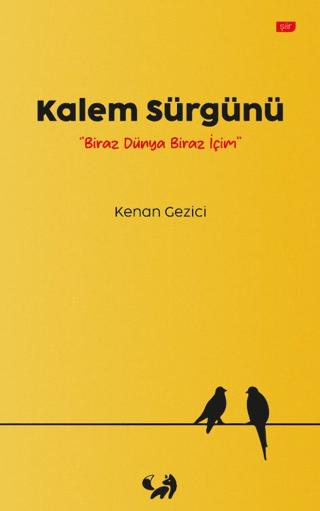 Kalem Sürgünü | Zilan Akademi (Ciltsiz) - Resim 1