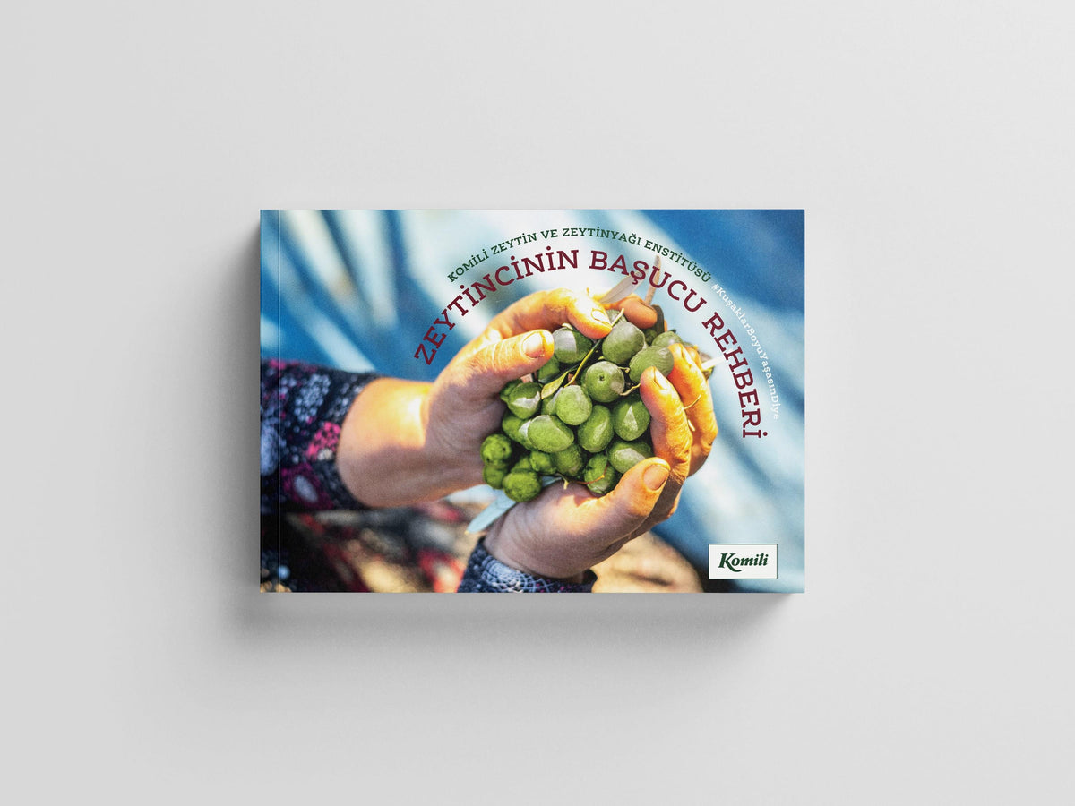 Zeytincinin Başucu Rehberi kitap kapağı