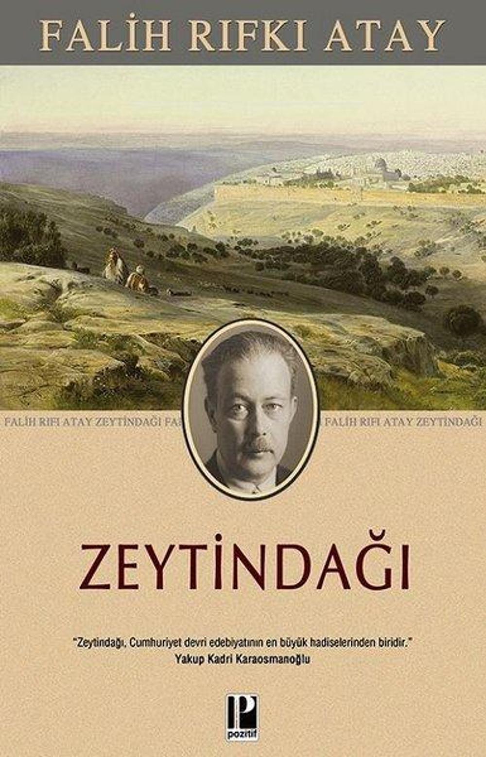 Zeytindağı | Pozitif Yayıncılık