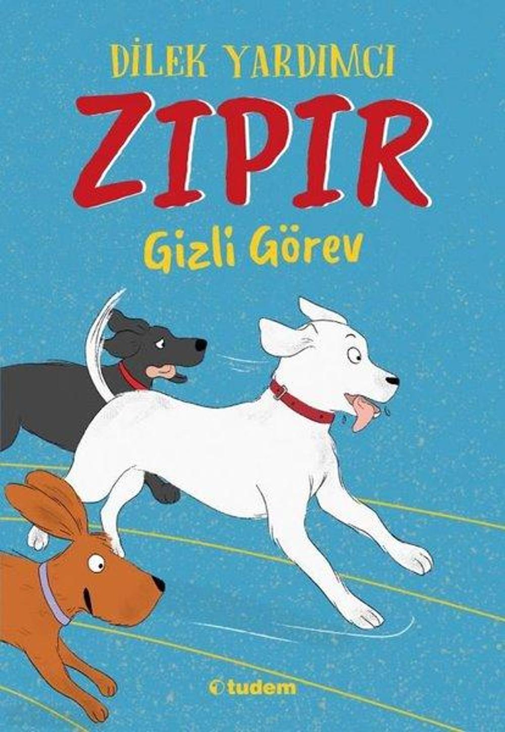 Zıpır Gizli Görev | Tudem Yayınları