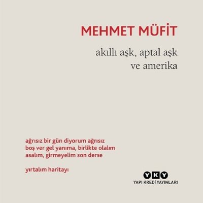 Akıllı Aşk Aptal Aşk ve Amerika | Yapı Kredi Yayınları