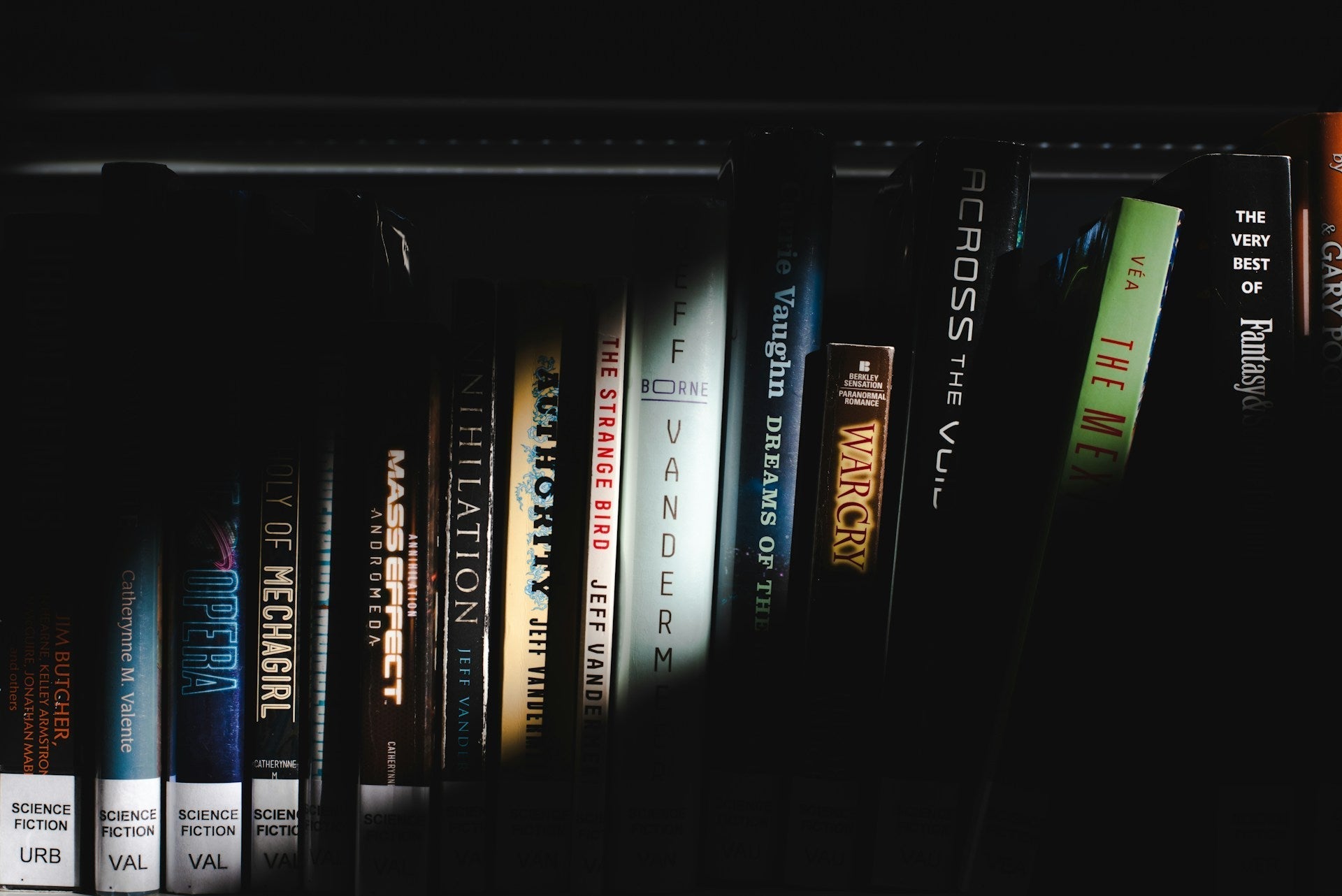 Kitaplardan uyarlanan filmler: raf uzerinde sinemaya uyarlanmis klasik romanlar ve DVD'ler