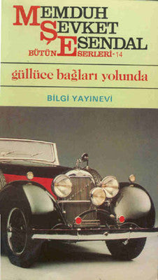 Güllüce Bağları Yolunda | Bilgi Yayınevi