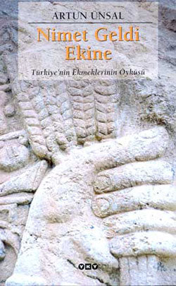 Nimet Geldi Ekine - Artun Ünsal kitap kapağı
