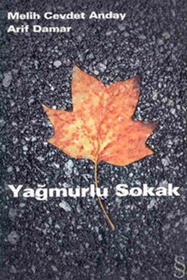 Yağmurlu Sokak | Everest Yayınları