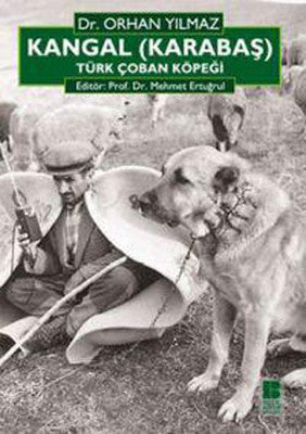 Kangal (Karabaş) Türk Çoban Köpeği | Bilge Kültür Sanat