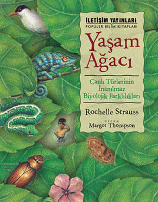 Yaşam Ağacı | İletişim Yayınları