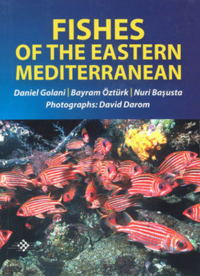 Fishes Of The Eastern Mediterranean | İlke Basın Yayın