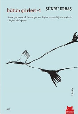 Bütün Şiirleri 1 | Kırmızı Kedi