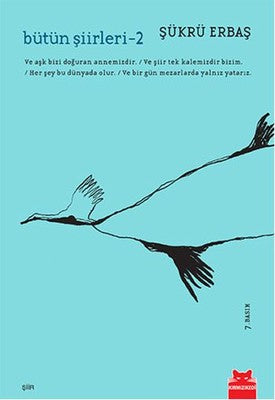 Bütün Şiirleri 2 | Kırmızı Kedi