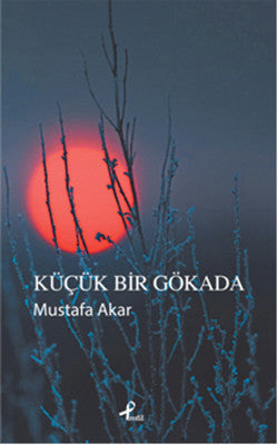 Küçük Bir Gökada | Profil Kitap
