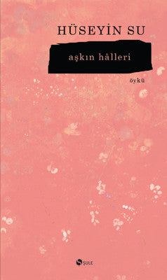 Aşkın Halleri | Şule Yayınları