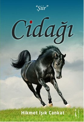 Cidağı | İkinci Adam Yayınları
