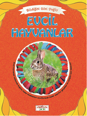 Bildiğin Gibi Değil - Evcil Hayvanlar | Yediveren Çocuk