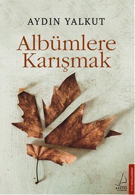 Albümlere Karışmak | Destek Yayınları