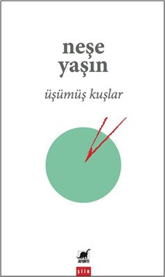 Üşümüş Kuşlar | Ayrıntı Yayınları