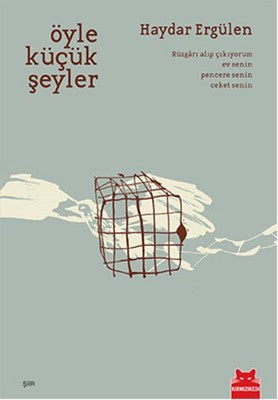 Öyle Küçük Şeyler | Kırmızı Kedi