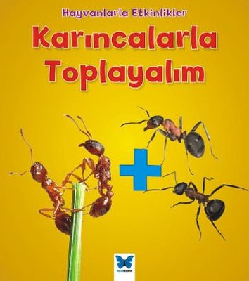Karıncalarla Toplayalım-Hayvanlarla Etkinlikler | Mavi Kelebek