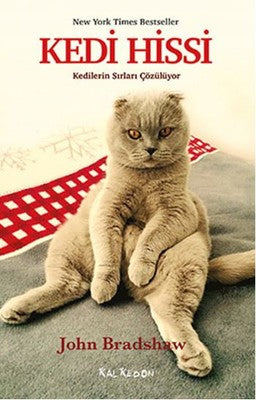 Kedi Hissi | Kalkedon
