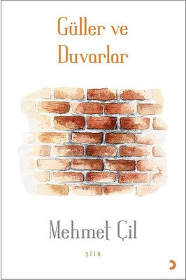 Güller ve Duvarlar | Cinius
