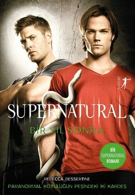 Supernatural-Bir Yıl Sonra | Artemis Yayınları