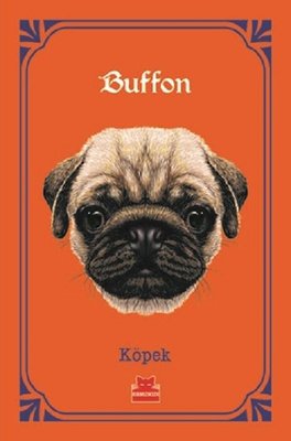 Köpek | Kırmızı Kedi