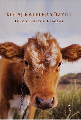 Kolaj Kalpler Yüzyılı | İkinci Adam Yayınları