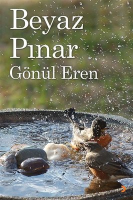 Beyaz Pınar | Cinius