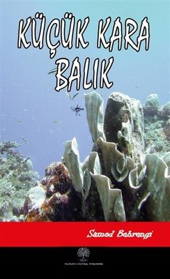Küçük Kara Balık | Platanus Publishing