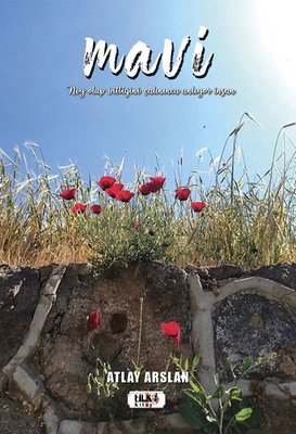 Mavi | Tilki Kitap