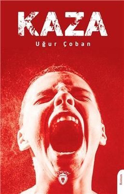 Kaza | Dorlion Yayınevi