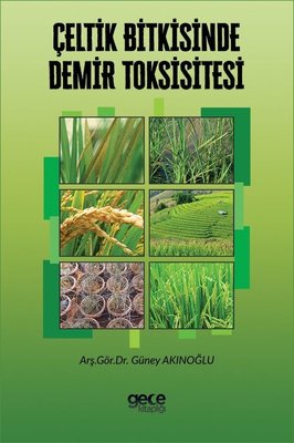 Çeltik Bitkisinde Demir Toksisitesi | Gece Kitaplığı