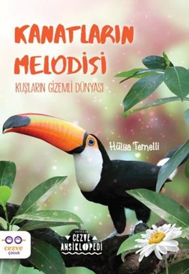 Kanatların Melodisi - Kuşların Gizemli Dünyası Cezve Ansiklopedi | Cezve Çocuk