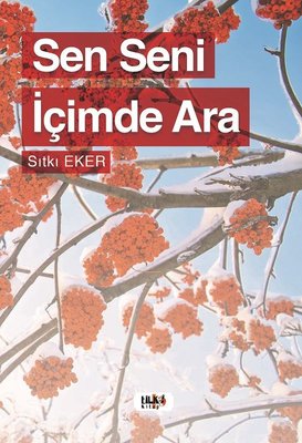 Sen Seni İçimde Ara | Tilki Yayınları