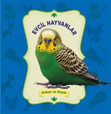 Evcil Hayvanlar - Dokun ve Hisset | 0-6 Yaş Yayınları (Ciltli)